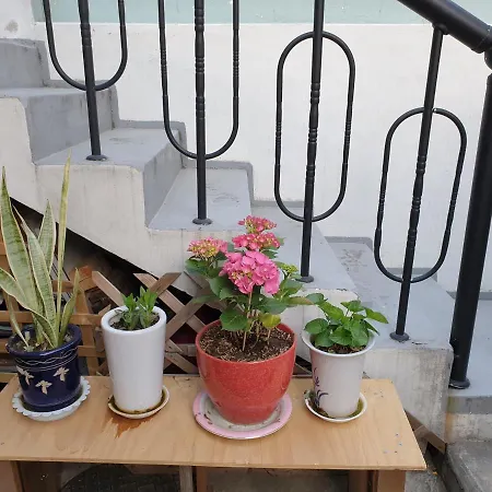 Oh My Guesthouse